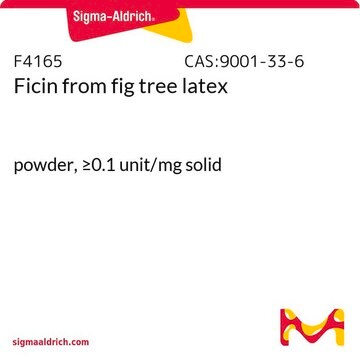 Ficin from fig tree latex powder, &#8805;0.1&#160;unit/mg solid