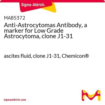 Anti-Astrocytomas Antibody, a marker for Low Grade Astrocytoma, clone J1-31 ascites fluid, clone J1-31, Chemicon&#174;