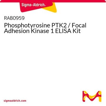 Phosphotyrosine PTK2 / Focal Adhesion Kinase 1 ELISA Kit