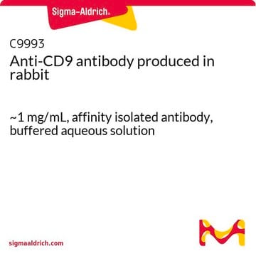 Anti-CD9 antibody produced in rabbit ~1&#160;mg/mL, affinity isolated antibody, buffered aqueous solution