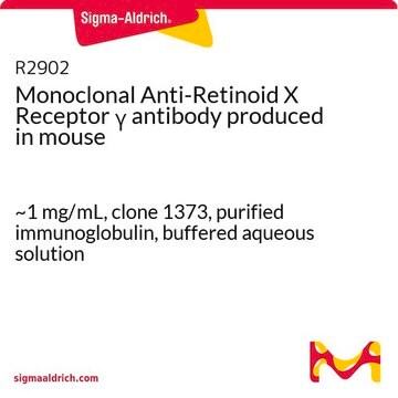 Monoclonal Anti-Retinoid X Receptor &#947; antibody produced in mouse ~1&#160;mg/mL, clone 1373, purified immunoglobulin, buffered aqueous solution