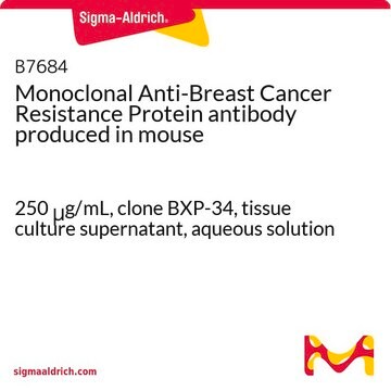 Monoclonal Anti-Breast Cancer Resistance Protein antibody produced in mouse 250&#160;&#956;g/mL, clone BXP-34, tissue culture supernatant, aqueous solution