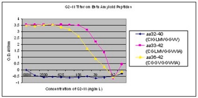 Anti-Amyloid &#946;42 Antibody, clone G2-11 clone G2-11, from mouse