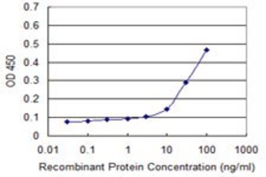 Monoclonal Anti-CCNG1 antibody produced in mouse clone 1E3, purified immunoglobulin, buffered aqueous solution