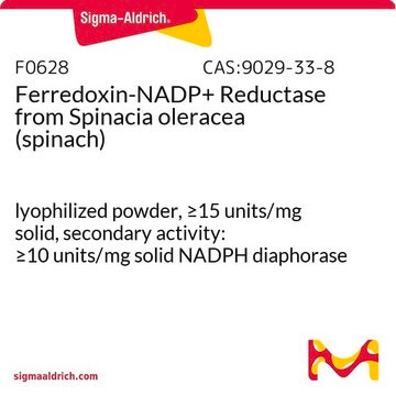 铁氧化还原蛋白-NADP + 还原酶 来源于菠菜 lyophilized powder, &#8805;15&#160;units/mg solid, secondary activity: &#8805;10&#160;units/mg solid NADPH diaphorase