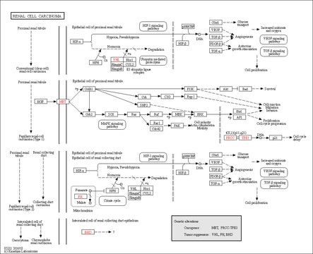 PDGFRb active human recombinant, expressed in baculovirus infected Sf9 cells, &#8805;70% (SDS-PAGE)