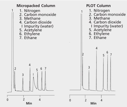 GC Analysis of Permanent Gases and Light Hydrocarbons on Carboxen-1006 PLOT and a Packed Column (Carboxen&#174; 1004) suitable for GC