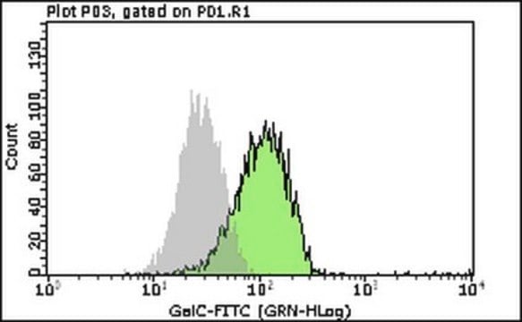 Milli-Mark&#174; Anti-Galactocerebroside-FITC Antibody, clone mGalC clone mGalC, Milli-Mark&#174;, from mouse