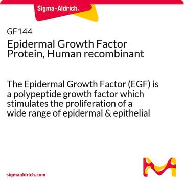 Epidermal Growth Factor Protein, Human recombinant The Epidermal Growth Factor (EGF) is a polypeptide growth factor which stimulates the proliferation of a wide range of epidermal &amp; epithelial cells.