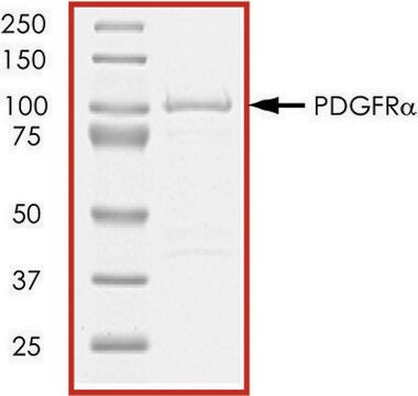 PDGFR-&#945;, active, GST tagged from mouse PRECISIO&#174;, recombinant, expressed in baculovirus infected Sf9 cells, &#8805;70% (SDS-PAGE), buffered aqueous glycerol solution