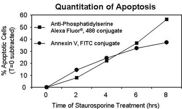 Anti-Phosphatidylserin-Antikörper, Klon 1H6, Alexa Fluor&#8482; 488 clone 1H6, Upstate&#174;, from mouse