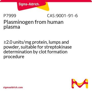 Plasminogen from human plasma &#8805;2.0&#160;units/mg protein, lumps and powder, suitable for streptokinase determination by clot formation procedure