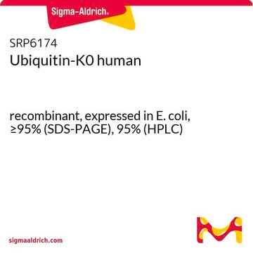 Ubiquitin-K0 human recombinant, expressed in E. coli, &#8805;95% (SDS-PAGE), 95% (HPLC)