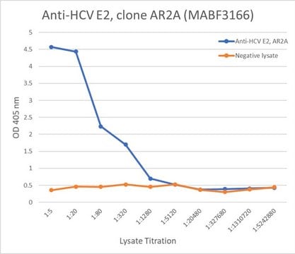 Anti-HCV E2 Antibody, clone AR2A