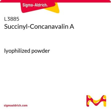 Succinyl-Concanavalin A lyophilized powder