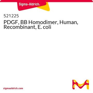 PDGF, BB Homodimer, Human, Recombinant, E. coli