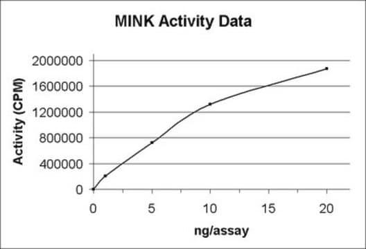 MINK Protein, active, 10 &#181;g Active, N-terminal His6-tagged, recombinant, human MINK amino acids 1-310, for use in Kinase Assays.