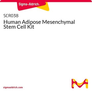 Human Adipose Mesenchymal Stem Cell Kit