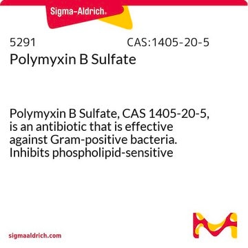 硫酸多粘菌素 B Polymyxin B Sulfate, CAS 1405-20-5, is an antibiotic that is effective against Gram-positive bacteria. Inhibits phospholipid-sensitive Ca2+-dependent protein kinases.