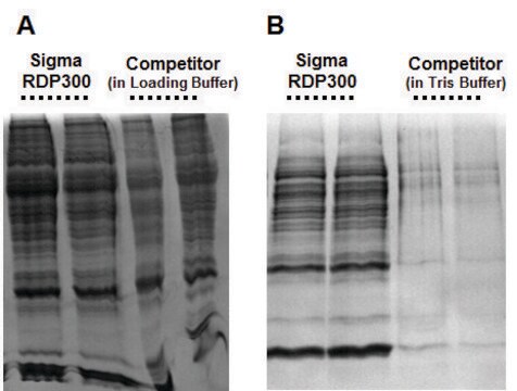 GenElute&#8482; RNA/DNA/Protein Purification Plus Kit