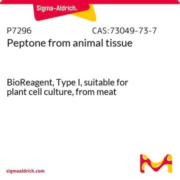 Peptone from animal tissue BioReagent, Type I, suitable for plant cell culture, from meat