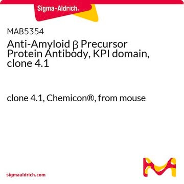 Anti-Amyloid &#946; Precursor Protein Antibody, KPI domain, clone 4.1 clone 4.1, Chemicon&#174;, from mouse