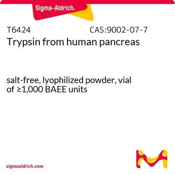 Trypsine from human pancreas salt-free, lyophilized powder, vial of &#8805;1,000&#160;BAEE units