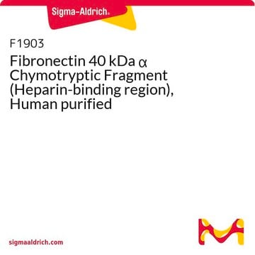 Fibronectin 40 kDa &#945; Chymotryptic Fragment (Heparin-binding region), Human purified