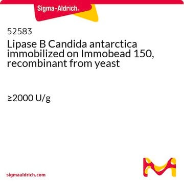 南极假丝酵母脂肪酶, 重组, 固定在 Immobead 150 上 来源于酵母 &#8805;2000&#160;U/g