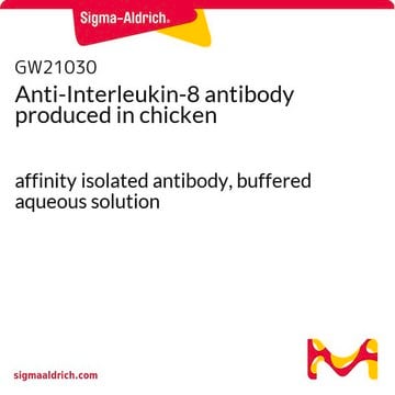 Anti-Interleukin-8 antibody produced in chicken affinity isolated antibody, buffered aqueous solution