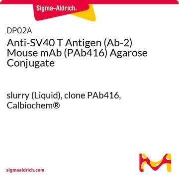 Anti-SV40 T Antigen (Ab-2) Mouse mAb (PAb416) Agarose Conjugate slurry (Liquid), clone PAb416, Calbiochem&#174;