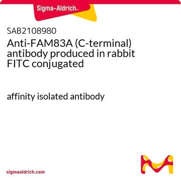 Anti-FAM83A (C-terminal) antibody produced in rabbit FITC conjugated affinity isolated antibody