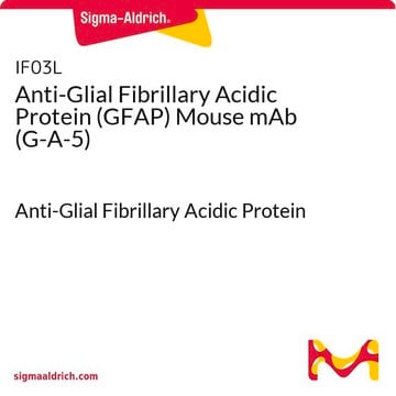 Anti-Glial Fibrillary Acidic Protein (GFAP) Mouse mAb (G-A-5) Anti-Glial Fibrillary Acidic Protein