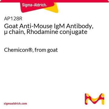 Goat Anti-Mouse IgM Antibody, &#181; chain, Rhodamine conjugate Chemicon&#174;, from goat