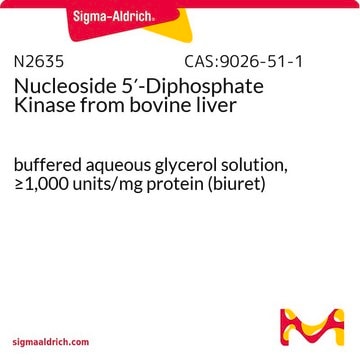 Nucleoside 5&#8242;-Diphosphate Kinase from bovine liver buffered aqueous glycerol solution, &#8805;1,000&#160;units/mg protein (biuret)