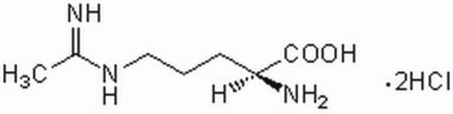 L-N&#8309;-(1-Iminoethyl)ornithin, Dihydrochlorid A cell-permeable, more potent inhibitor of endothelial nitric oxide synthase compared to other arginine analogs such as L-NAME and L-NMMA.