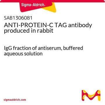 ANTI-PROTEIN-C TAG antibody produced in rabbit IgG fraction of antiserum, buffered aqueous solution