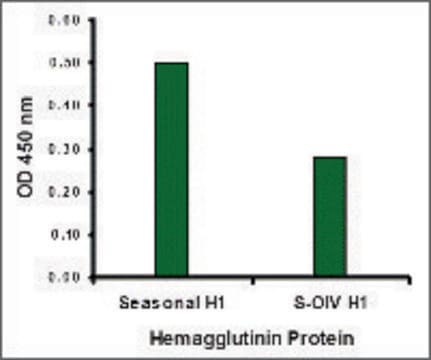 Anti-Seasonal H1N1 Hemagglutinin antibody produced in rabbit affinity isolated antibody, buffered aqueous solution