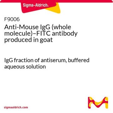 IgG anti-ratón (molécula completa)-FITC antibody produced in goat IgG fraction of antiserum, buffered aqueous solution