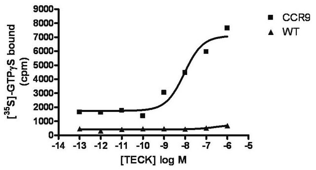 ChemiSCREEN CCR9 Membrane Preparation Human CCR9 GPCR membrane preparation for GTP&#947;S Binding &amp; Radioligand Binding Assays.