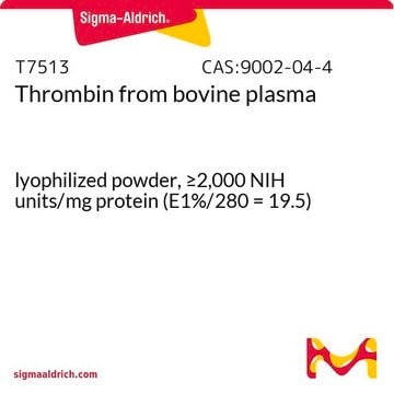 凝血酶 来源于牛血浆 lyophilized powder, &#8805;2,000&#160;NIH units/mg protein (E1%/280 = 19.5)