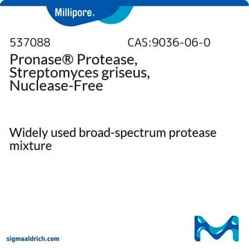 Pronase&#174; Protease, Streptomyces griseus, Nuclease-Free Widely used broad-spectrum protease mixture