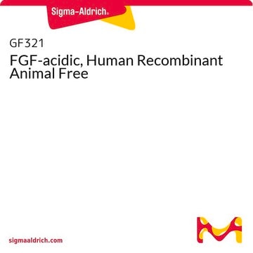 FGF-acidic, Human Recombinant Animal Free