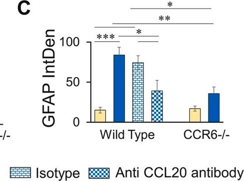 Anticorps anti-protéine acide fibrillaire gliale Chemicon&#174;, from chicken