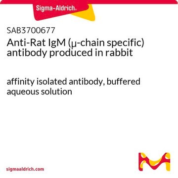 Anti-Rat IgM (&#956;-chain specific) antibody produced in rabbit affinity isolated antibody, buffered aqueous solution