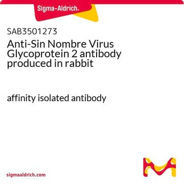 Anti-Sin Nombre Virus Glycoprotein 2 antibody produced in rabbit affinity isolated antibody