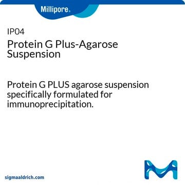 Protein G Plus-Agarose Suspension Protein G PLUS agarose suspension specifically formulated for immunoprecipitation.