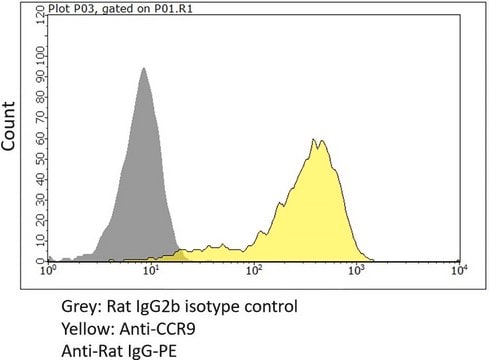 Anti-CCR9 Antibody, clone 7E7