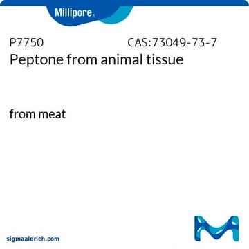 Peptone from animal tissue from meat