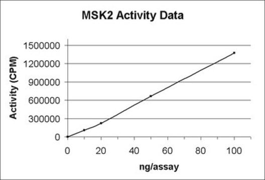 MSK2 Protein, active, 10 &#181;g Active, N-terminal His6-tagged, recombinant, human MSK2, amino acids 2-end, for use in Kinase Assays.